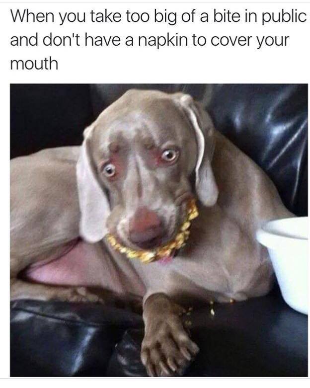 32 Irresistibly Funny Memes That Are Pure Comedy Gold 20 When you take a big bite in public - Irresistibly Funny Memes