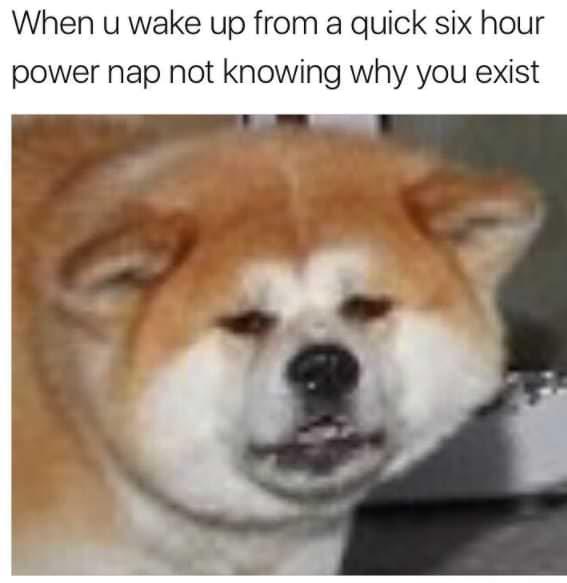 25 Sleep Memes for the Not-So-Morning People 18 When you wake up from a power nap - Sleep Memes