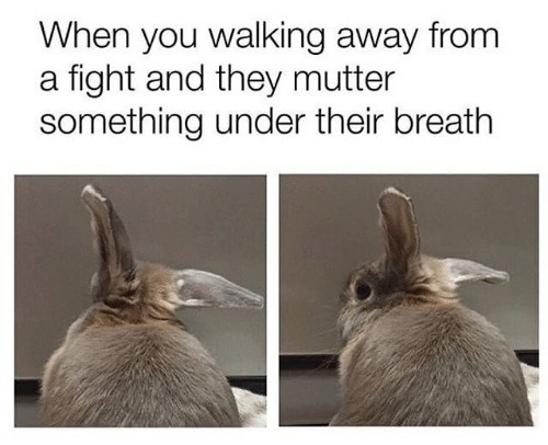 24 Rabbit Memes to Share the Hoppiness on International Rabbit Day! 18 When youre walking away from a fight - Rabbit Memes