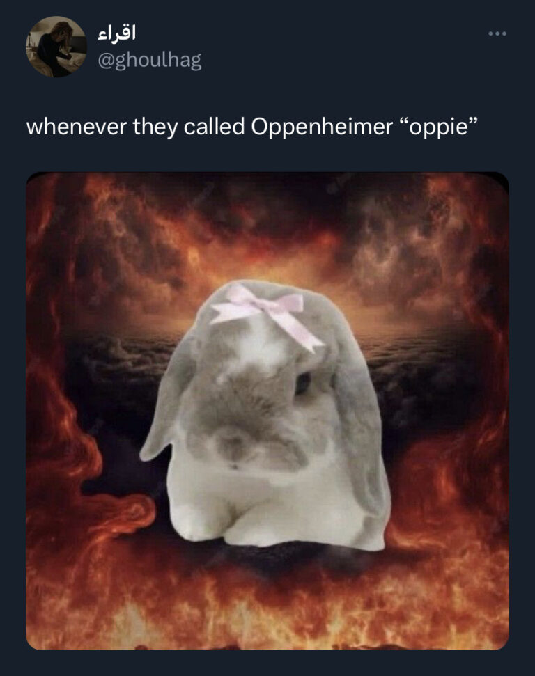 30 Rabbit Memes to Share the Hoppiness on International Rabbit Day ...