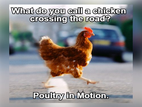 50 'Why Did the Chicken Cross the Road' Jokes That Are Eggstra Funny ...