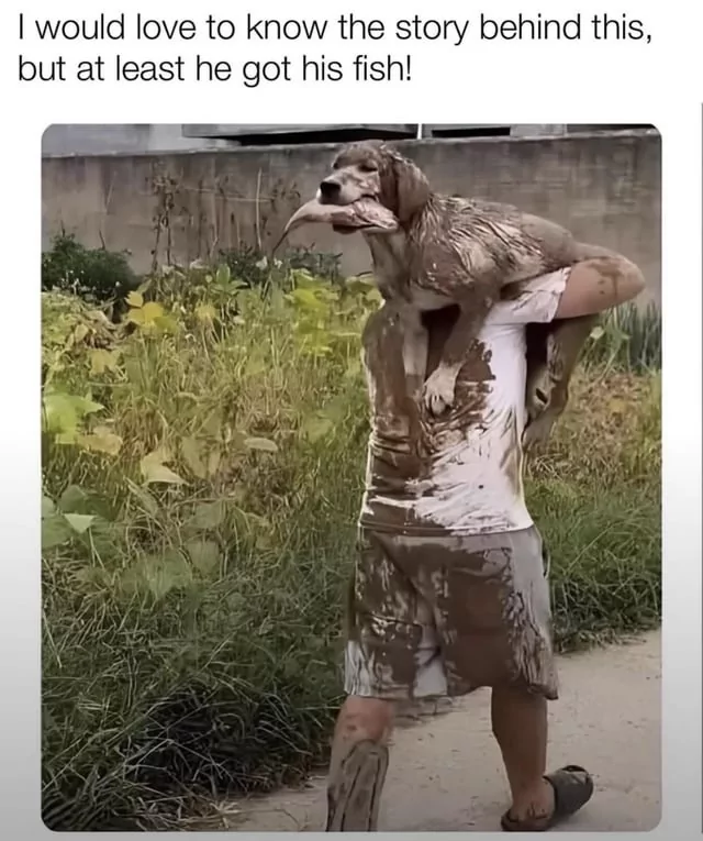 25 Chaotic Memes That Push the Boundaries of Humor 25 Would love to know the story