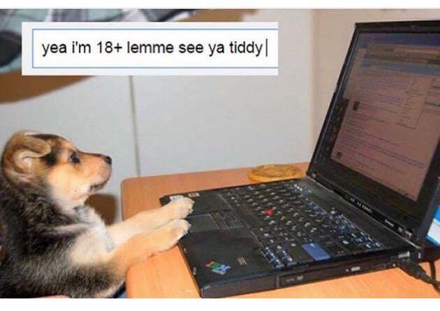 32 Irresistibly Funny Memes That Are Pure Comedy Gold 22 Yea im 18 - Irresistibly Funny Memes