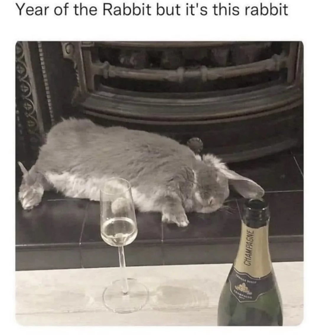 24 Rabbit Memes to Share the Hoppiness on International Rabbit Day! 20 Year of the rabbit - Rabbit Memes