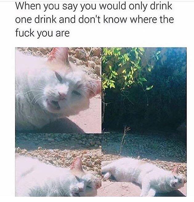 32 Irresistibly Funny Memes That Are Pure Comedy Gold 24 You would drink only one drink - Irresistibly Funny Memes