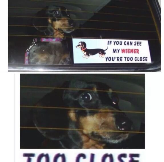 20 Deadpan Humor: Internet Gold for Chuckle Enthusiasts 21 Youre too close - Deadpan Humor