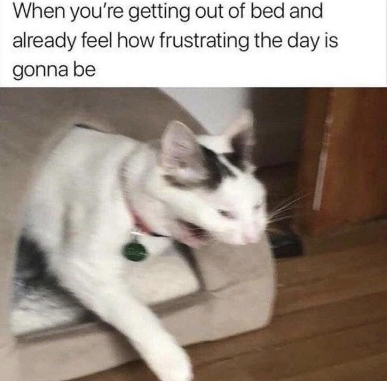 25 Sleep Memes for the Not-So-Morning People 4 en youre getting out of bed - Sleep Memes