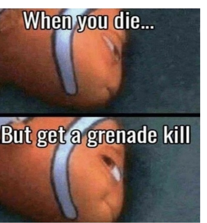29 Dry Humor Gems That'll Leave You Thirsty for More 24 grenade kill