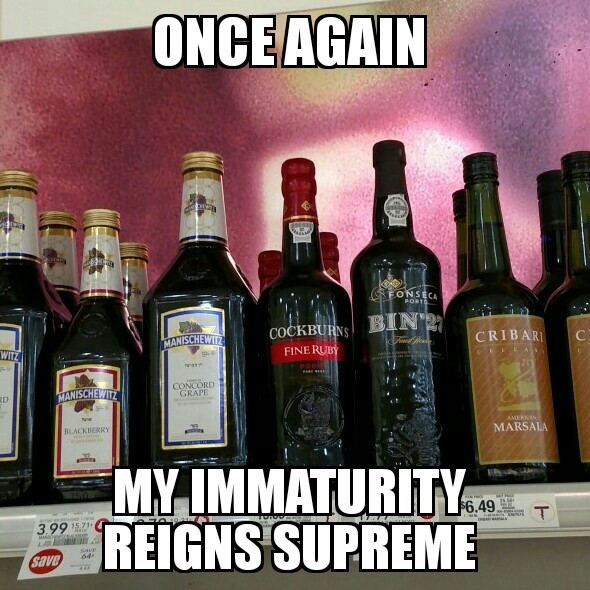 20 Sophomoric Humor Gems for Immature Fun and Games 9 immaturity reigns supreme - Sophomoric Humor