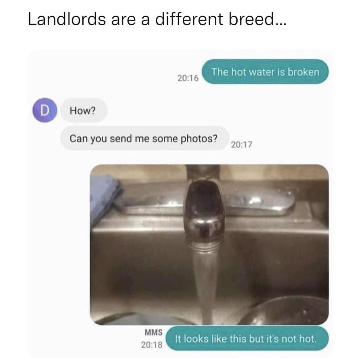 45 British Memes That Capture The Essence of British Humor 42 landlords are different breed