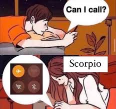 15 Scorpio memes to Begin the Sting Season 7 scorpio memes can i call