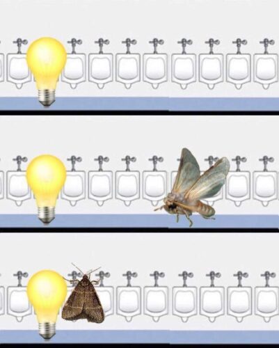 15 Moth Memes That Will Light Up Your Day 14 moth memes where do you?
