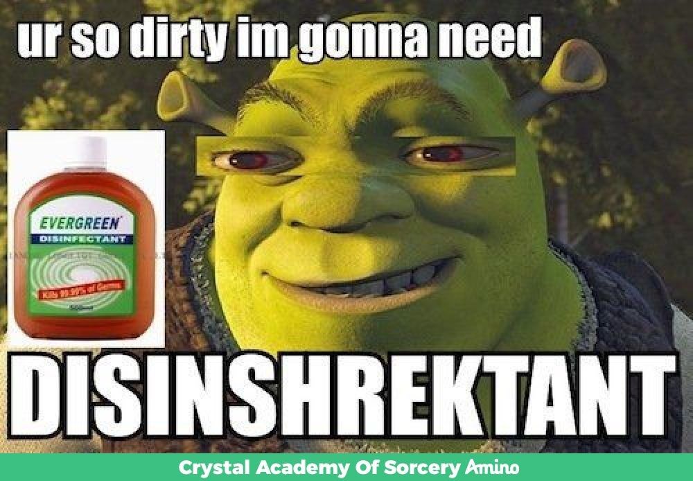 shrek memes ur 