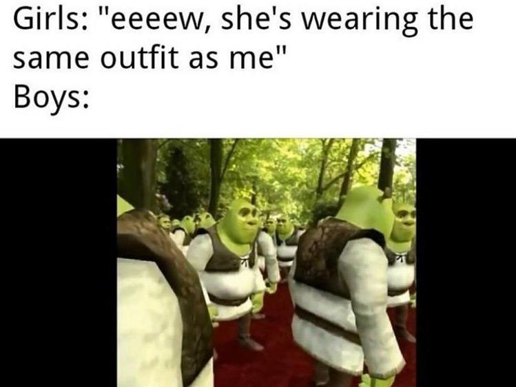 shrek memes girls 