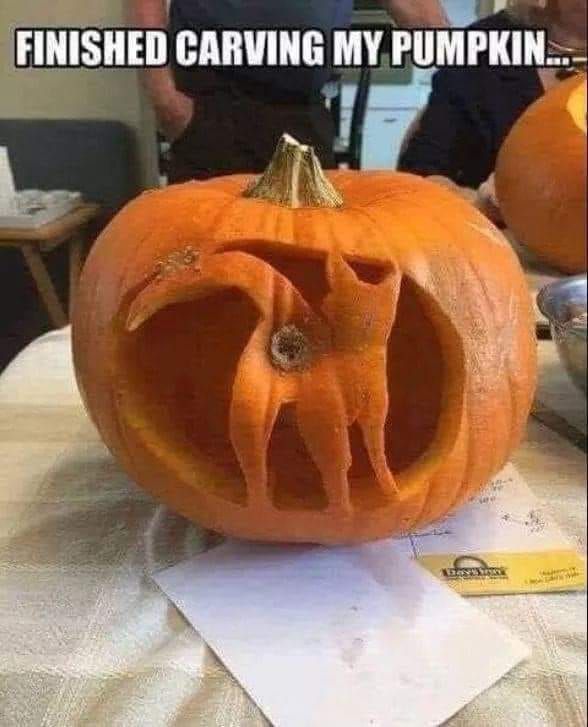 funny pumpkin carvings finished