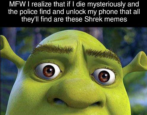 shrek memes mfw 