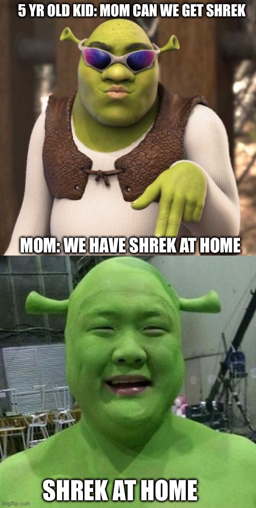 20 Shrek Memes For A Shrek tastic Delight Of Life And Lots