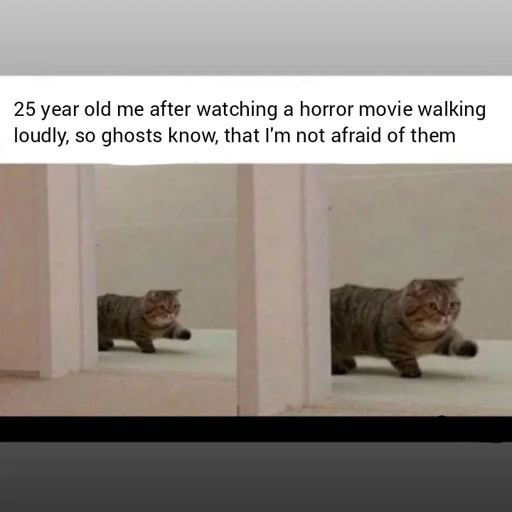 20 Haunting Memes from the Dark Corners of Haunted Hill 14 25 Year old me