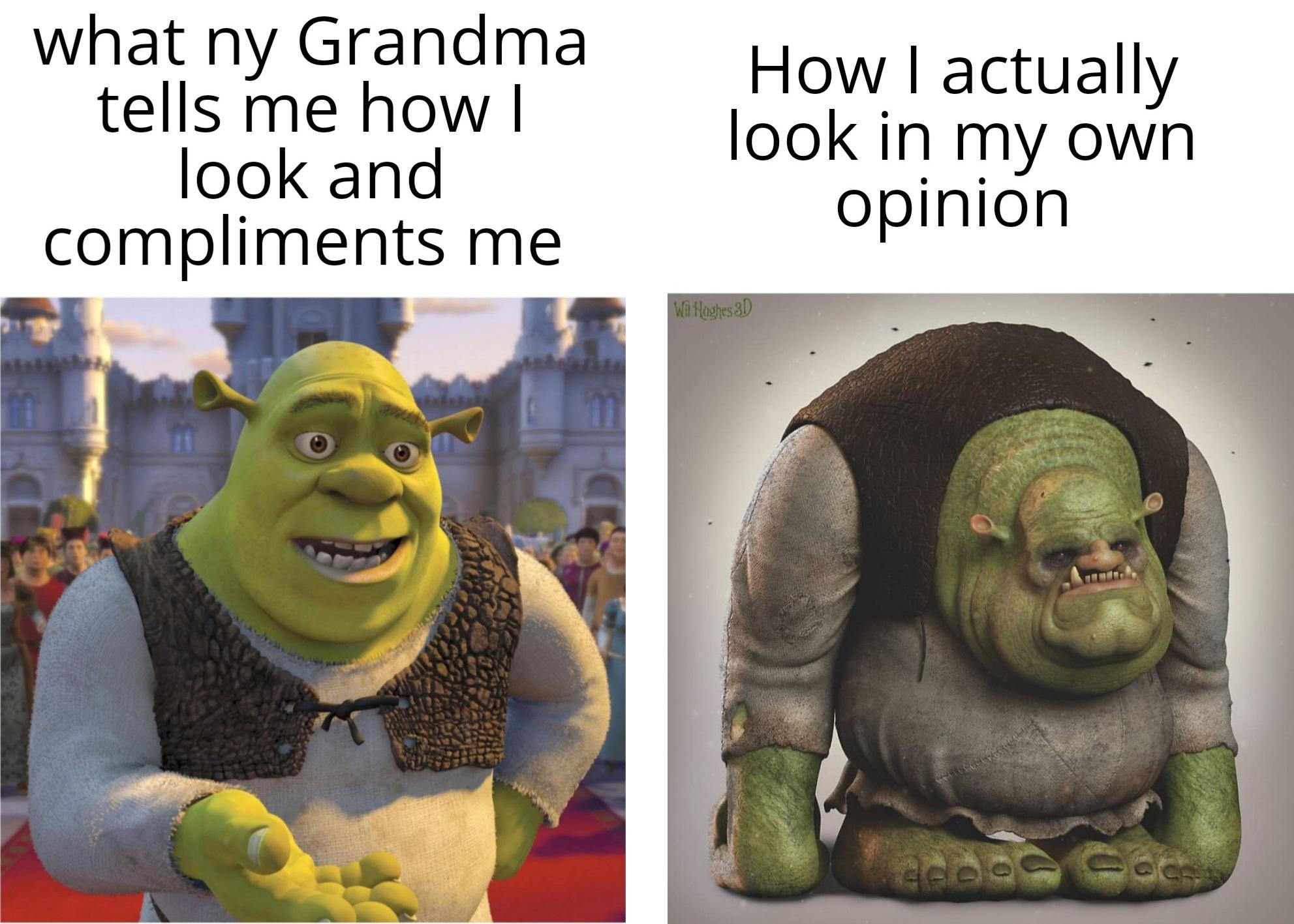 20 Shrek Memes For A Shrek tastic Delight Of Life And Lots 20 Shrek Memes For A Shrek tastic Delight Of Life And Lots