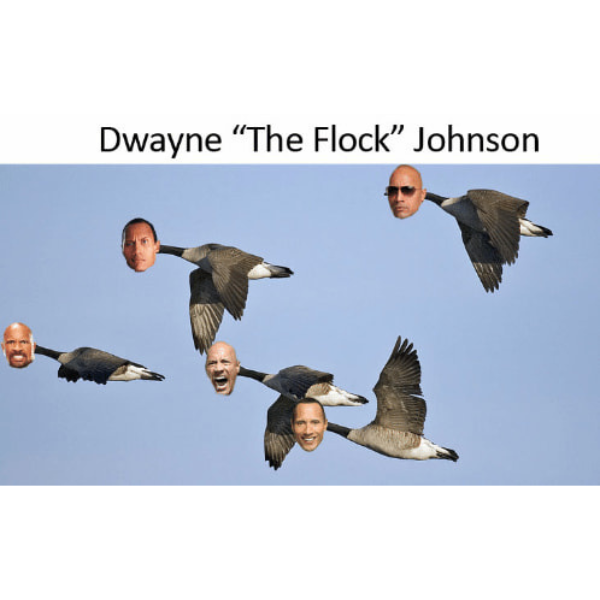 dwayne johnson flock