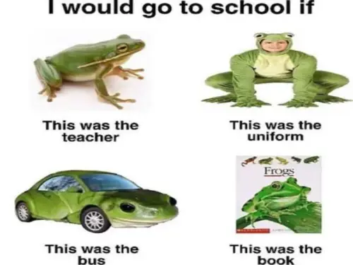 25 Literal Memes That Take Things Way Too Seriously 4 literal memes look into