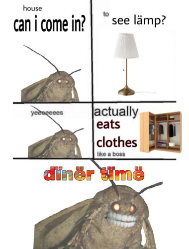 15 Moth Memes That Will Light Up Your Day 5 moth memes can I come in?