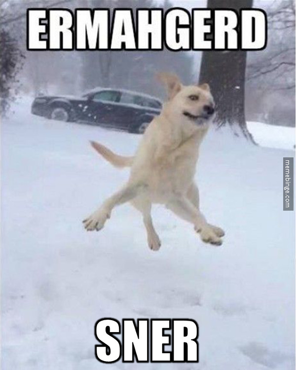 ermahgred meme