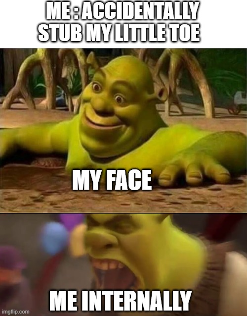 shrek memes me