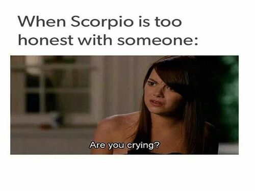 15 Scorpio memes to begin the sting season