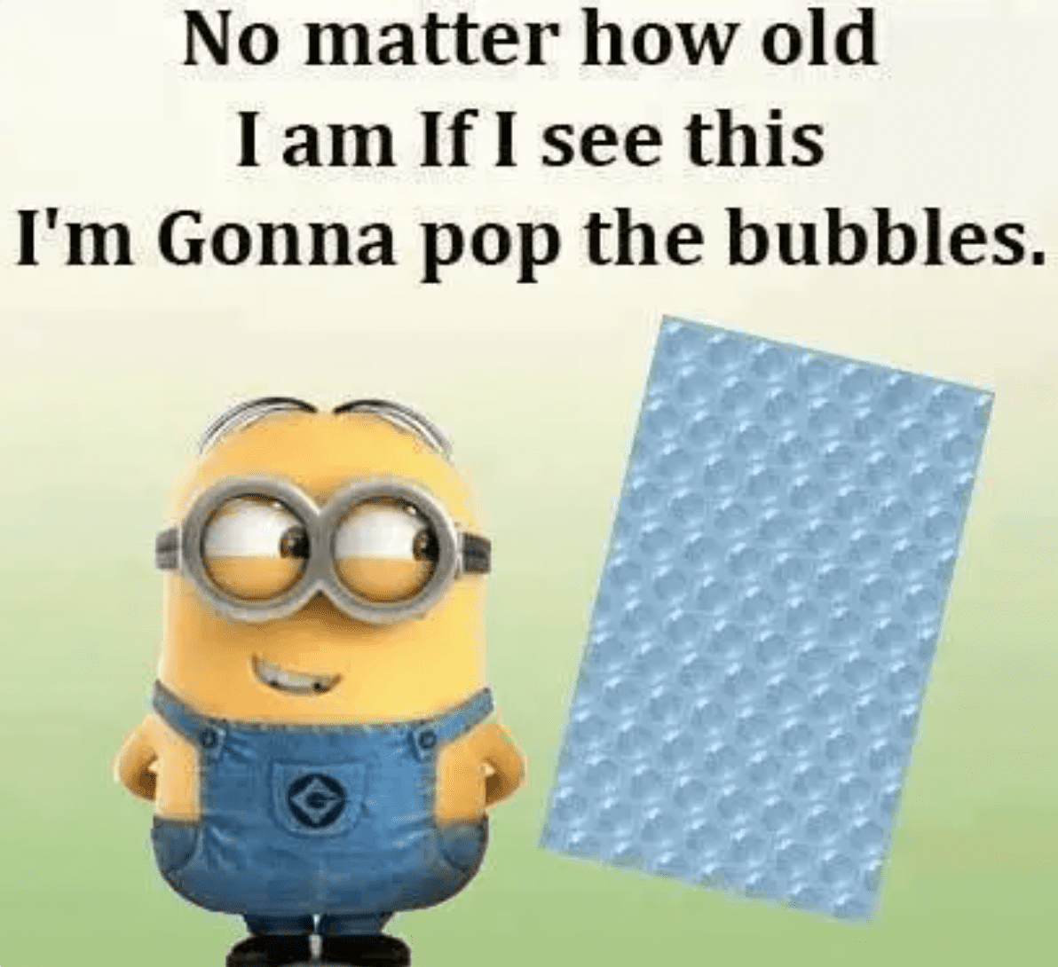 minion memes