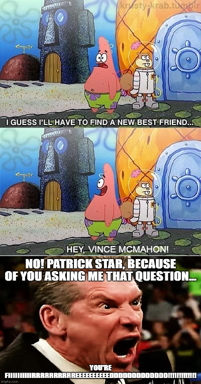 Ill find a new best friend - Vince McMahon Memes