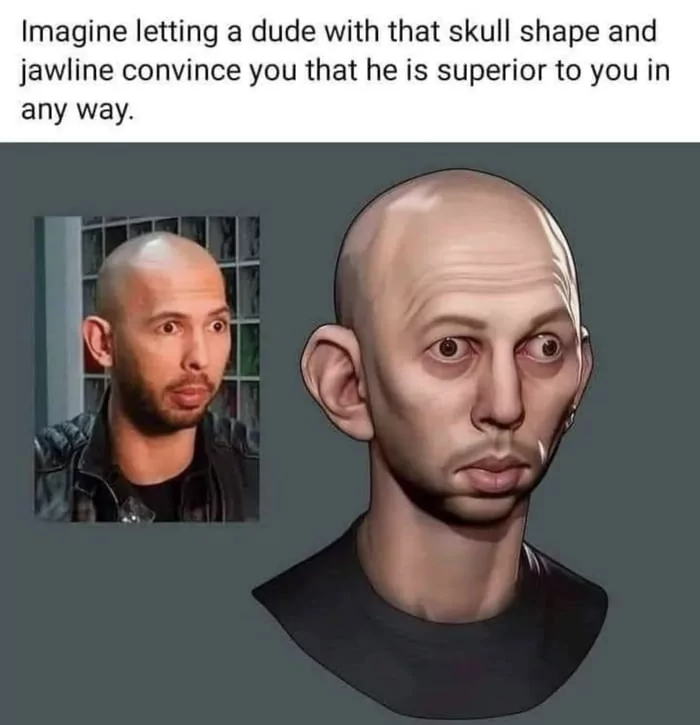 20 'Andrew Tate Memes' That Are Captivating The Internet With Snorts 8 andrew tate memes imagine letting