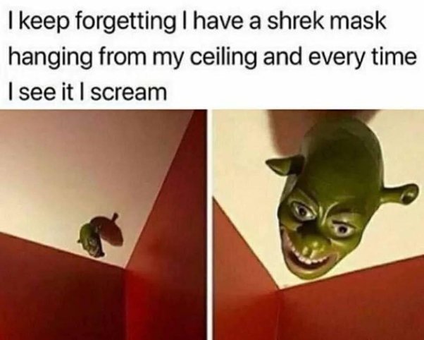 shrek memes i keep 