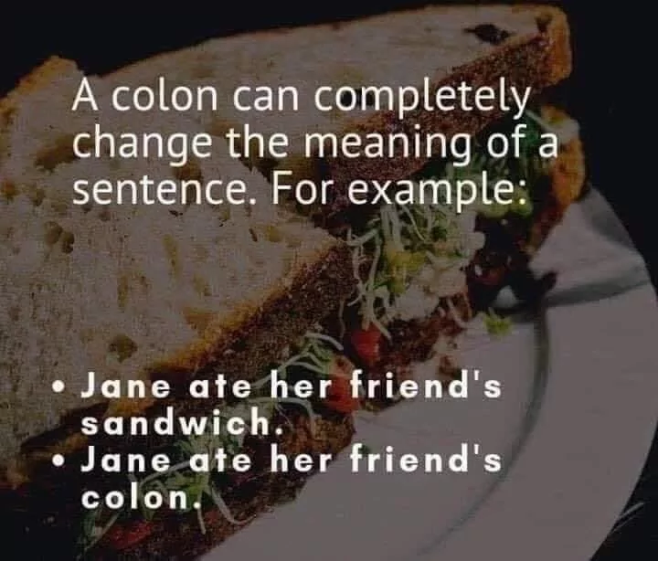 30 Hilarious Memes That Prove English Is The Funniest Language 26 A colon can completely