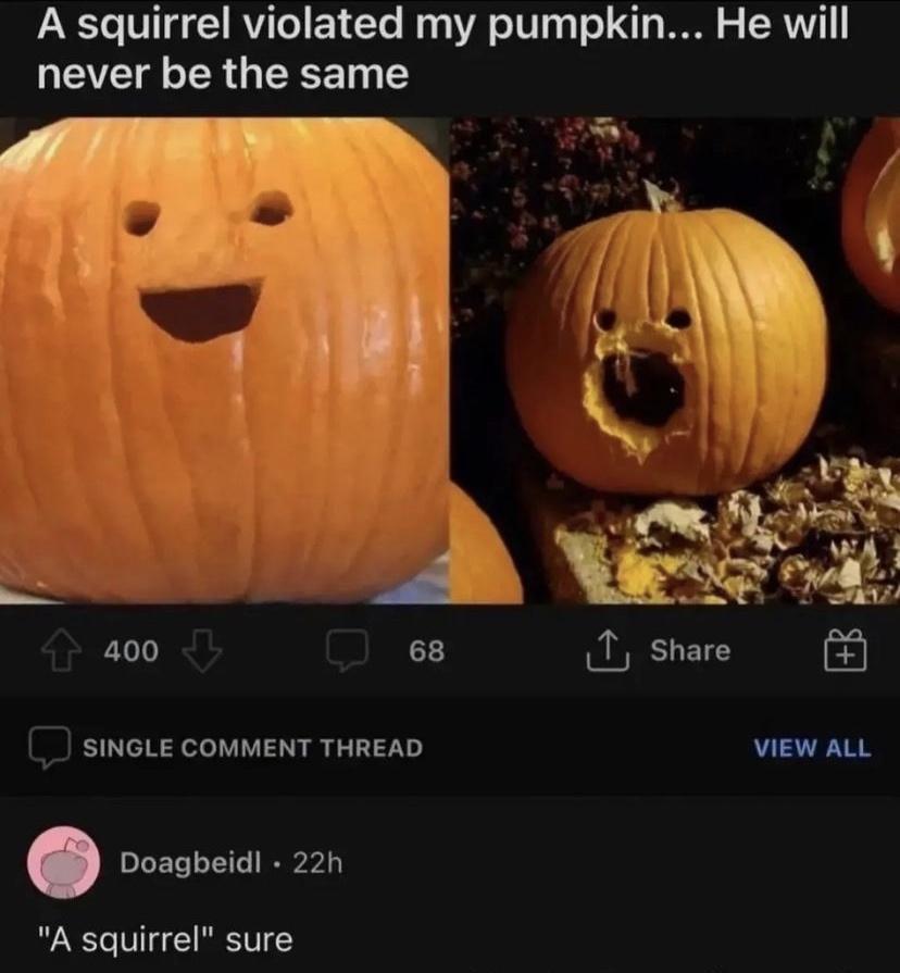 20 Spooky Memes to Haunt Your Screen 3 A squirellel violated my pumpkin - Spooky Memes