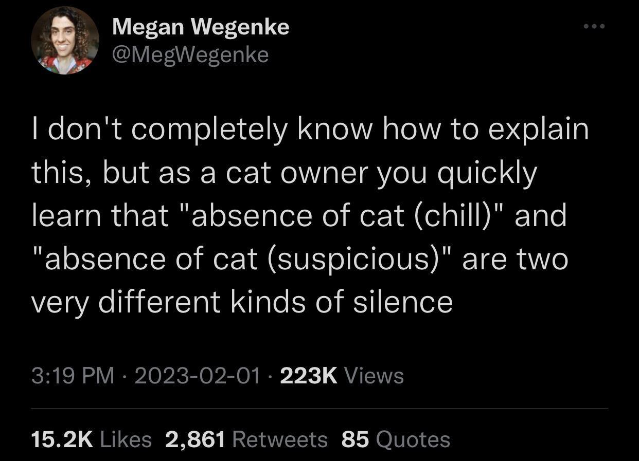 19 Memes That Make You Laugh, Think, and Reflect 1 Absense of cat - Memes That Make You Laugh, Think
