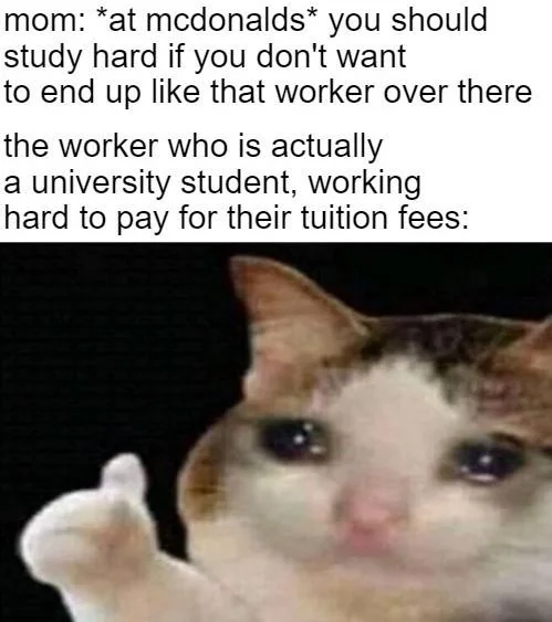 15 Sad Cat Memes That Will Melt Your Heart 13 At mcdonalds