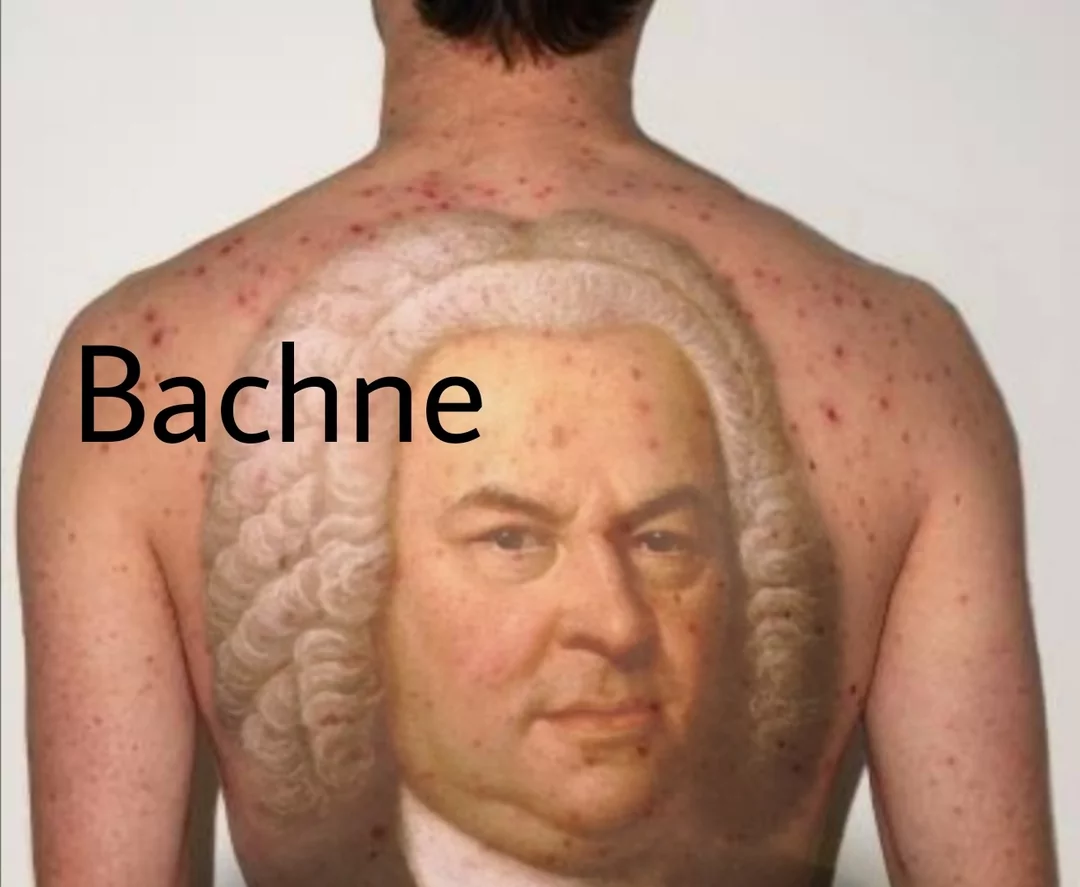 What The Pun! Step into the World of Punny Memes 24 Bachne