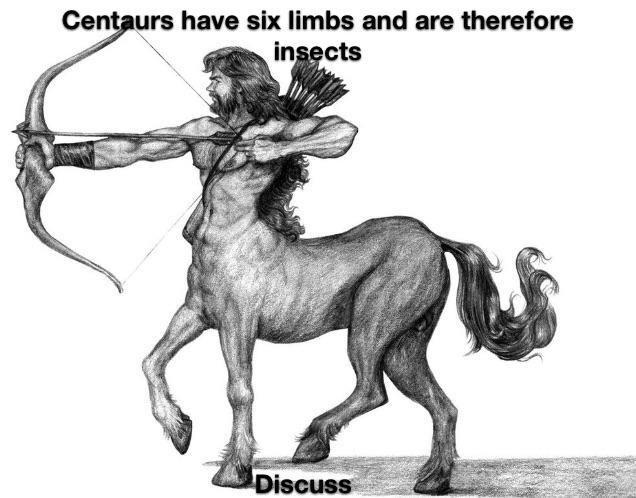 24 Silly Memes That Will Make You Wonder What's So Funny 1 Centaurs are insects - Silly Memes