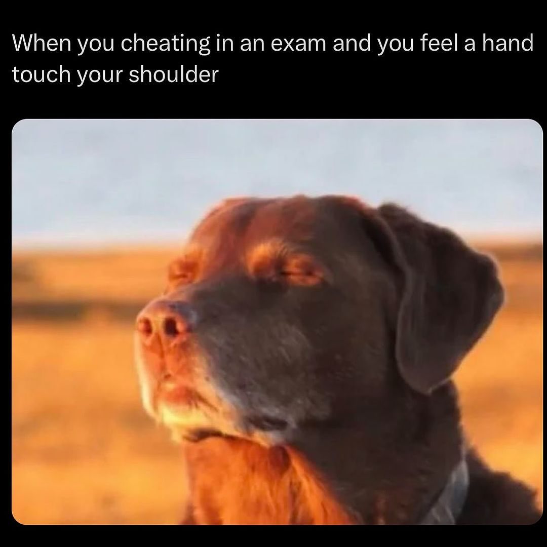 35 Relatable Memes That Sum Up Life's Daily Trials, Handpicked from This Must-Follow IG Pag 31 Cheating in exam