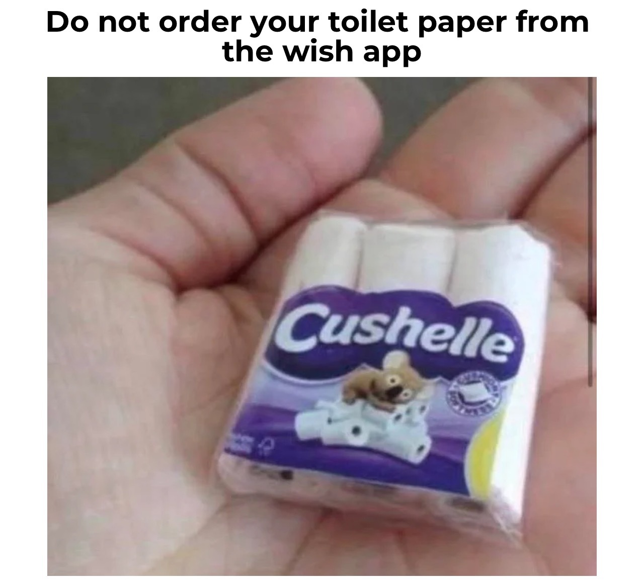 32 "When You Order From Wish Memes" That Will Make You Wish You Never Ordered From Wish 26 Do no order toilet paper