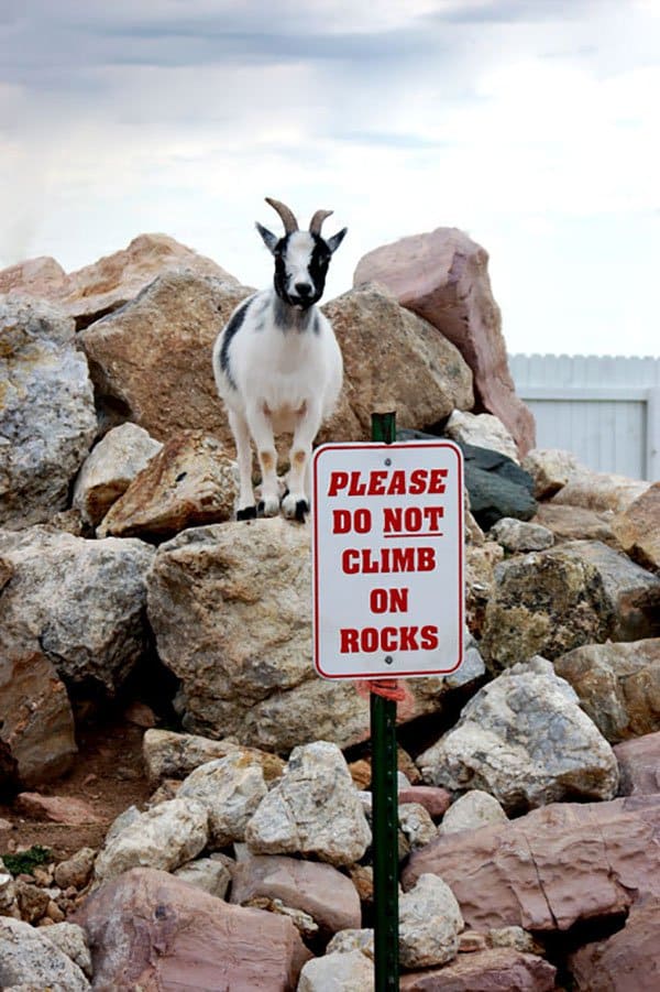 Do not climb on rocks