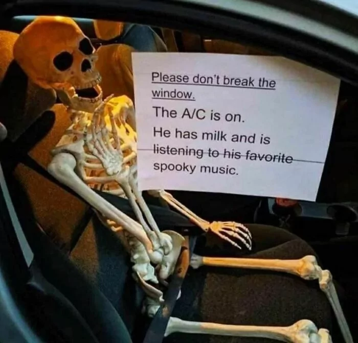 20 Spooky Memes to Haunt Your Screen 7 Dont break the window - Spooky Memes