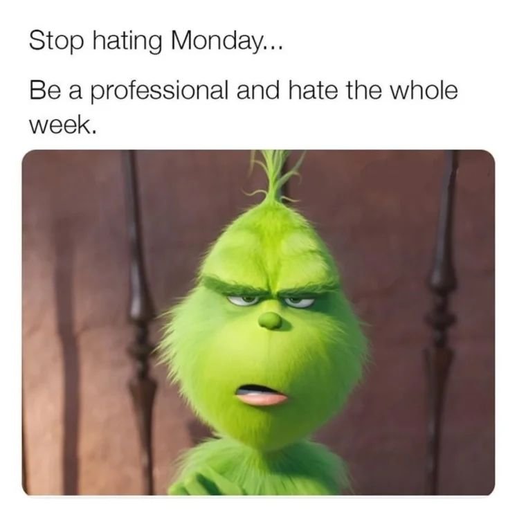 Dont just hate mondays - Funny Introvert Memes