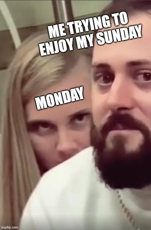 20 Monday Humor Memes for Hardcore Monday Haters 16 Enjoy my sunday