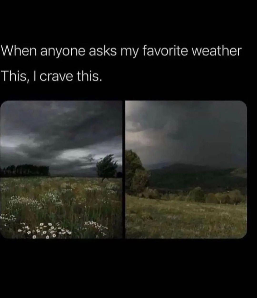 35 Relatable Memes That Sum Up Life's Daily Trials, Handpicked from This Must-Follow IG Pag 4 Favorite weather - Relatable Memes