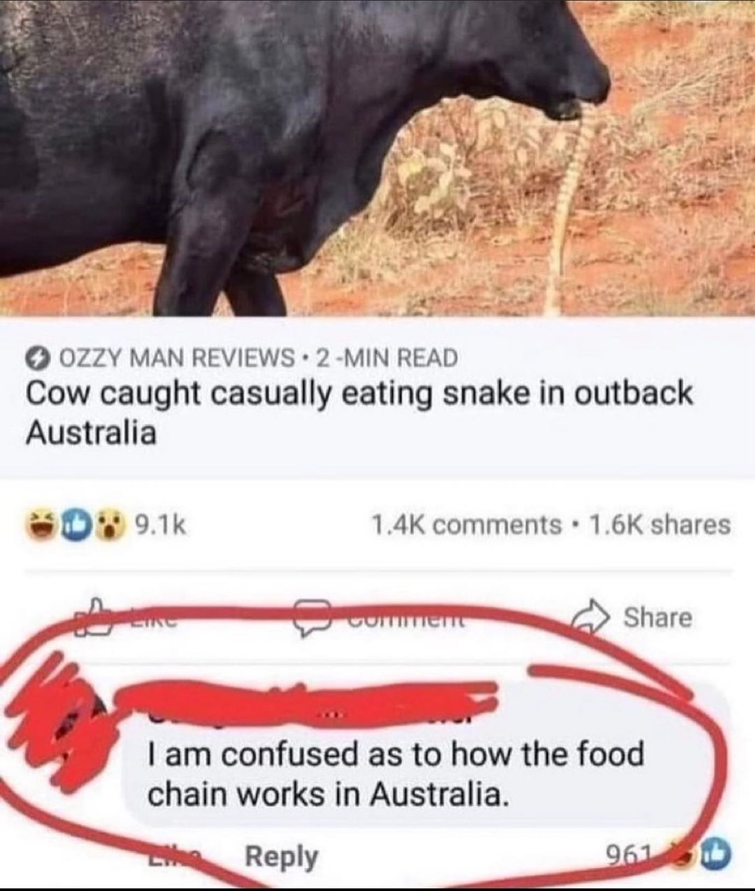 35 Relatable Memes That Sum Up Life's Daily Trials, Handpicked from This Must-Follow IG Pag 5 Food Chain in australia - Relatable Memes
