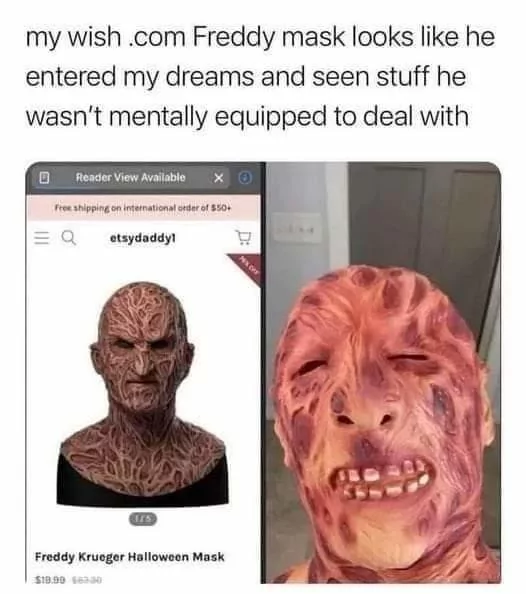 32 "When You Order From Wish Memes" That Will Make You Wish You Never Ordered From Wish 23 Freddy mask - When you order from wish memes