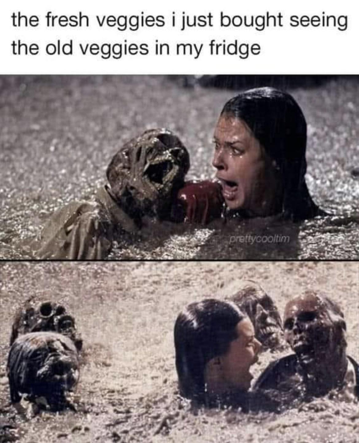 19 Memes That Make You Laugh, Think, and Reflect 6 Fresh veggies - Memes That Make You Laugh, Think