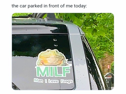 20 Frog memes for Hoppin' into Hilarity